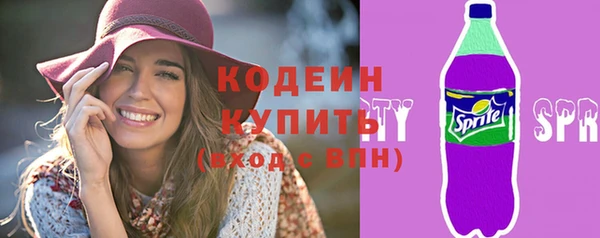 соль ск Арсеньев