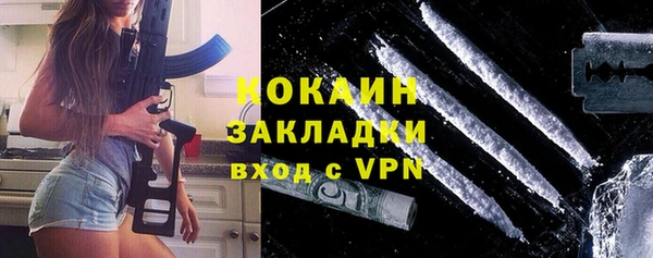 соль ск Арсеньев